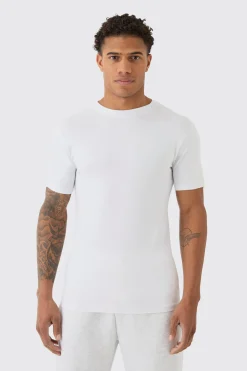 Basic Muscle Fit T-shirt | UK^boohooMAN Online