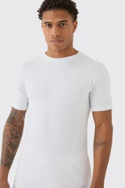 Basic Muscle Fit T-shirt | UK^boohooMAN Online