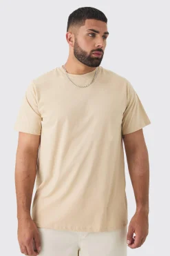 Plus Bird Graphic Back Print T-shirt | UK^boohooMAN Best