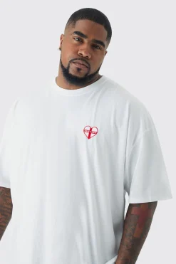 Plus England Embroidered T-shirt | UK^boohooMAN New