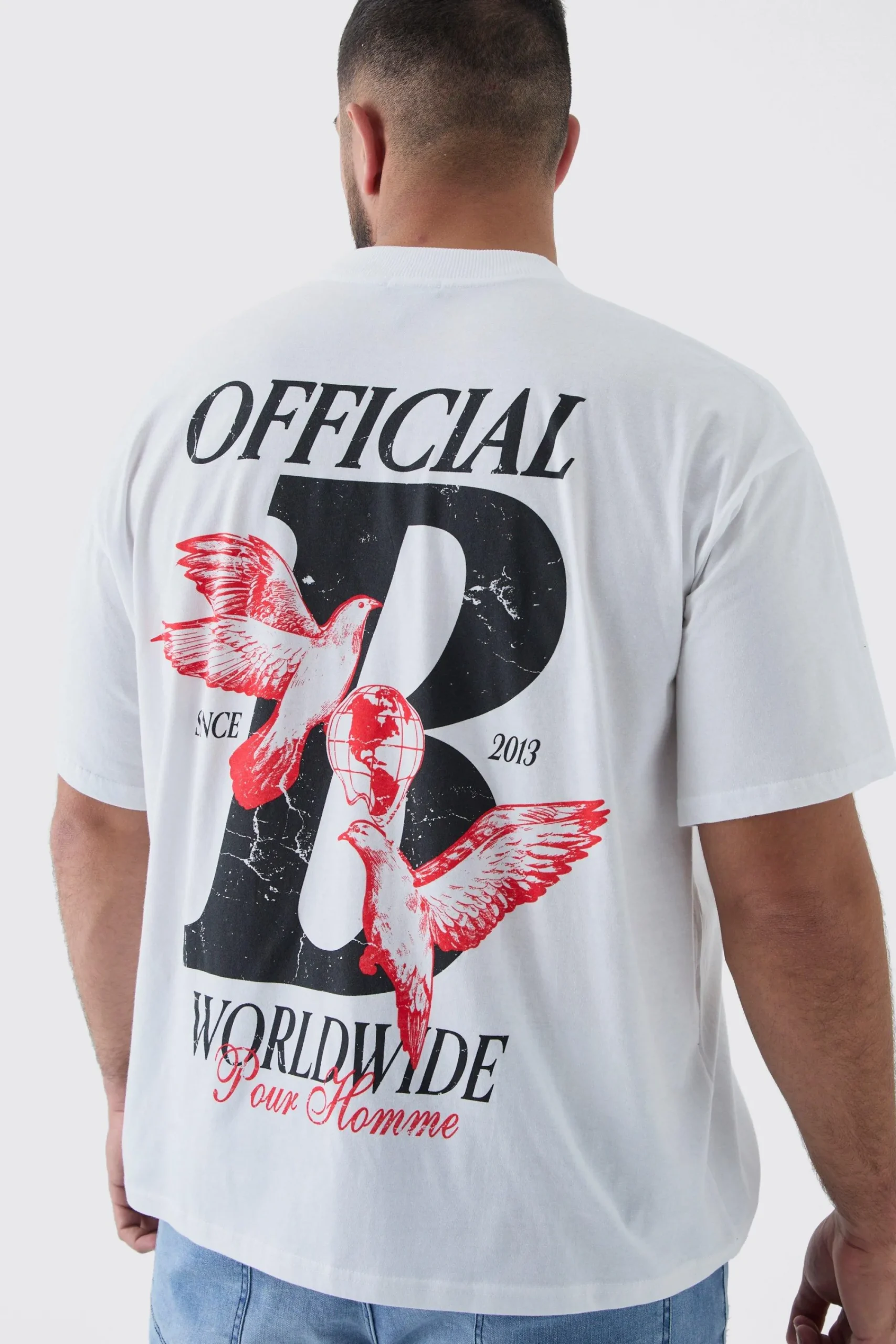 Plus Official Dove Printed Oversized T-Shirt | UK^boohooMAN Sale