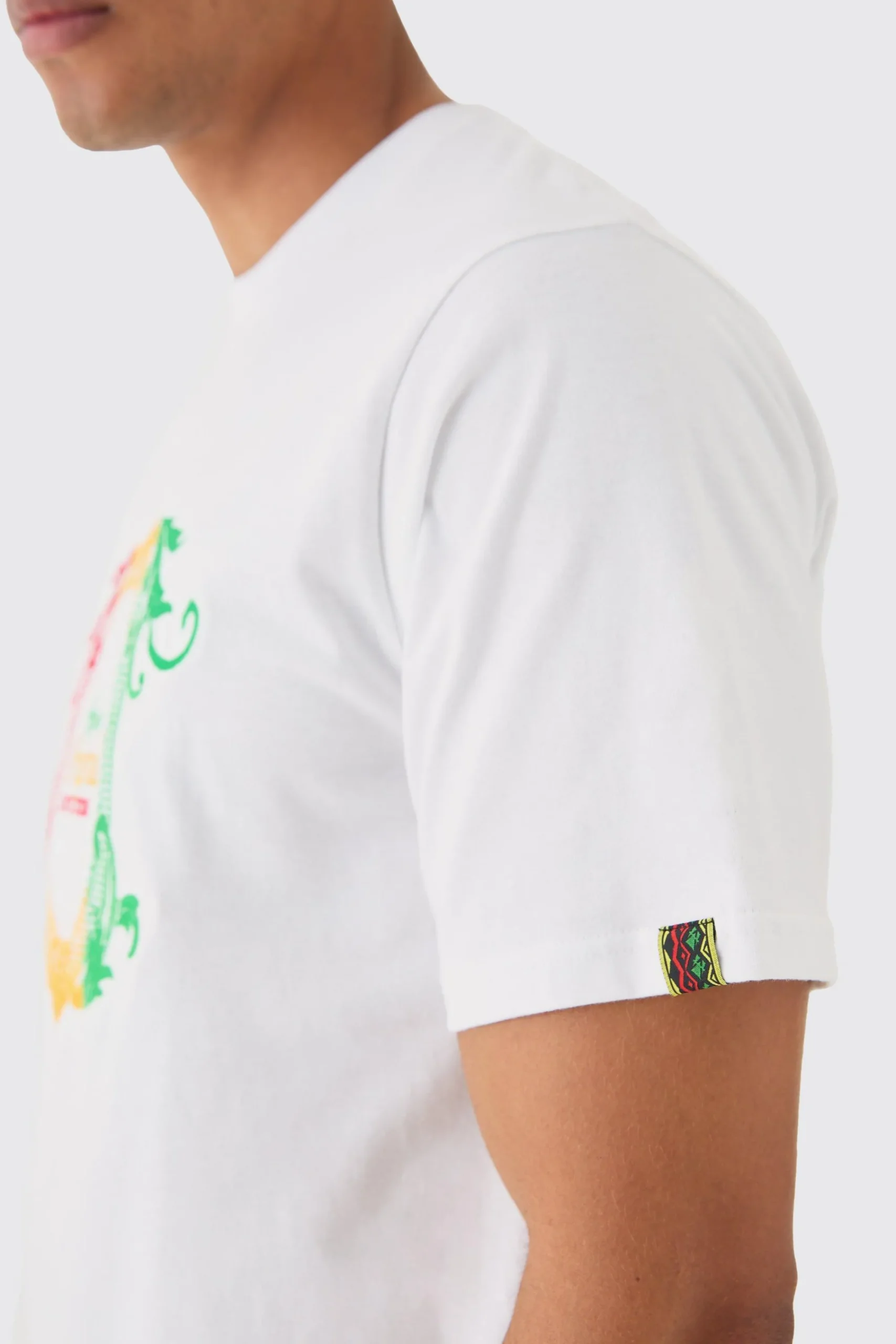 Regular Embroidered Graphic T-shirt | UK^boohooMAN Hot