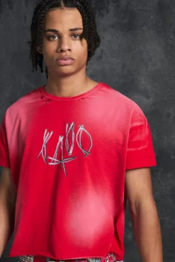 Trippie d Baby Fit Heavy Washed 1400 T-shirt | UK^boohooMAN Discount